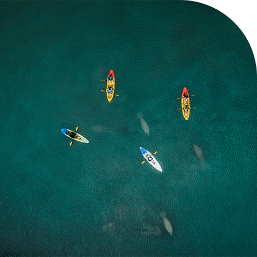 Examining megatrends