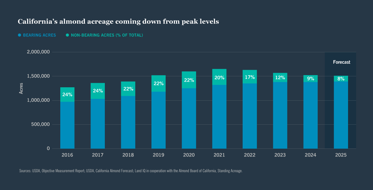 California's almond acreage coming down from peak levels