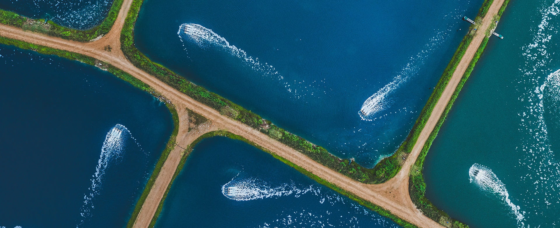 Aerial view of interconnected fish ponds with blue water, separated by dirt paths. Water jets create white patterns, conveying a sense of tranquility.