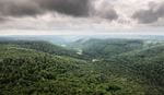 Out-of-focus aerial view of forested hills and a cloudy sky