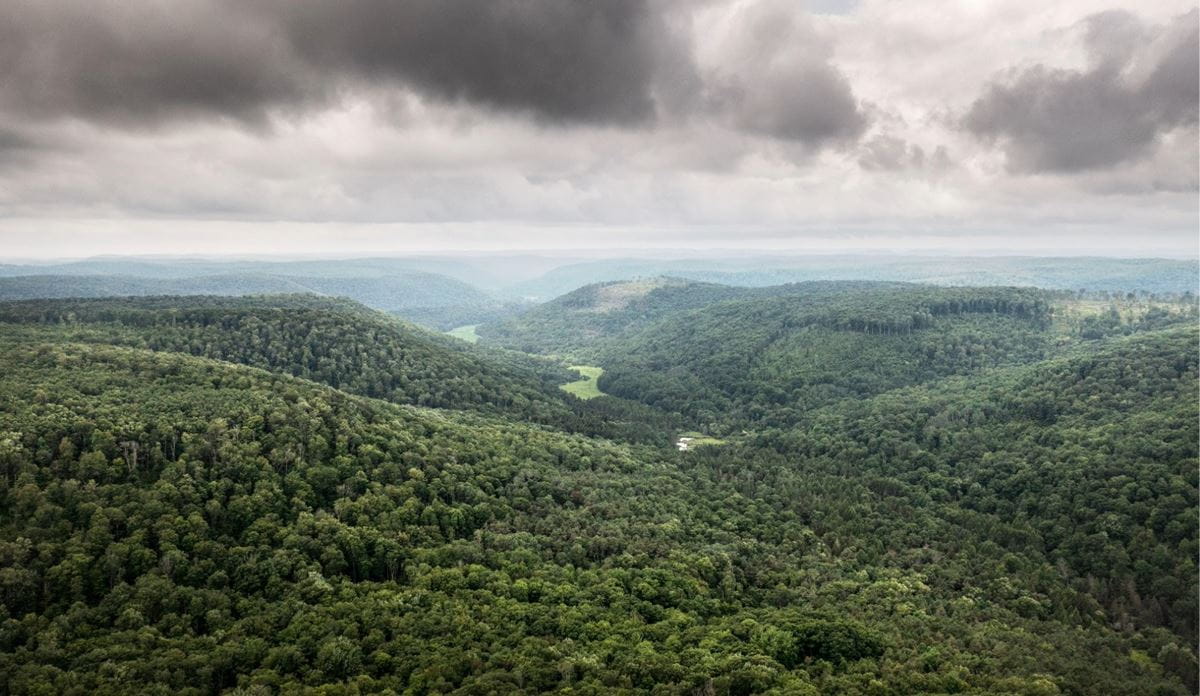 Out-of-focus aerial view of forested hills and a cloudy sky
