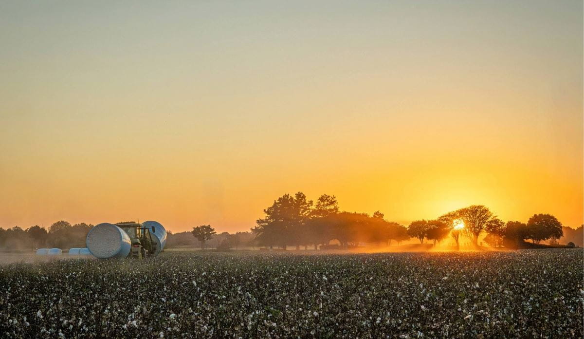Tractor with hay bales in a field at sunrise.