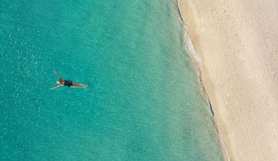 Snorkeler in tropical waters from above