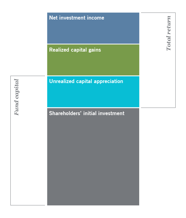 Understanding return of capital table