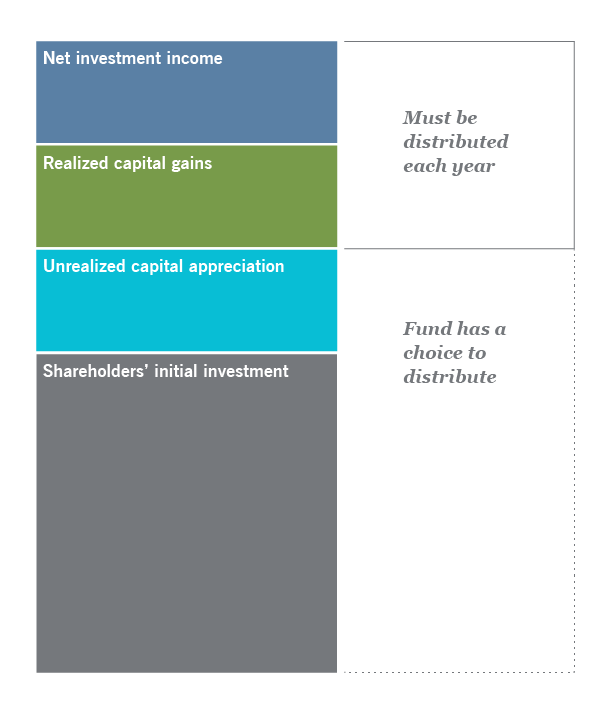Understanding return of capital table