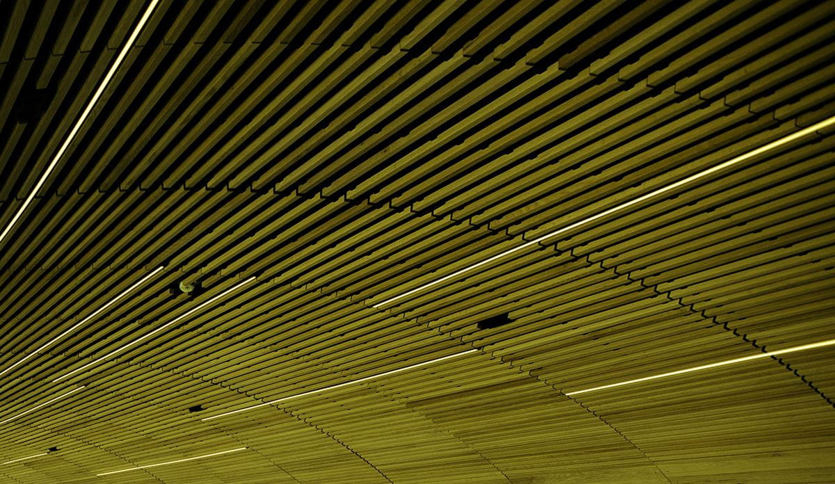 Green horizontal line