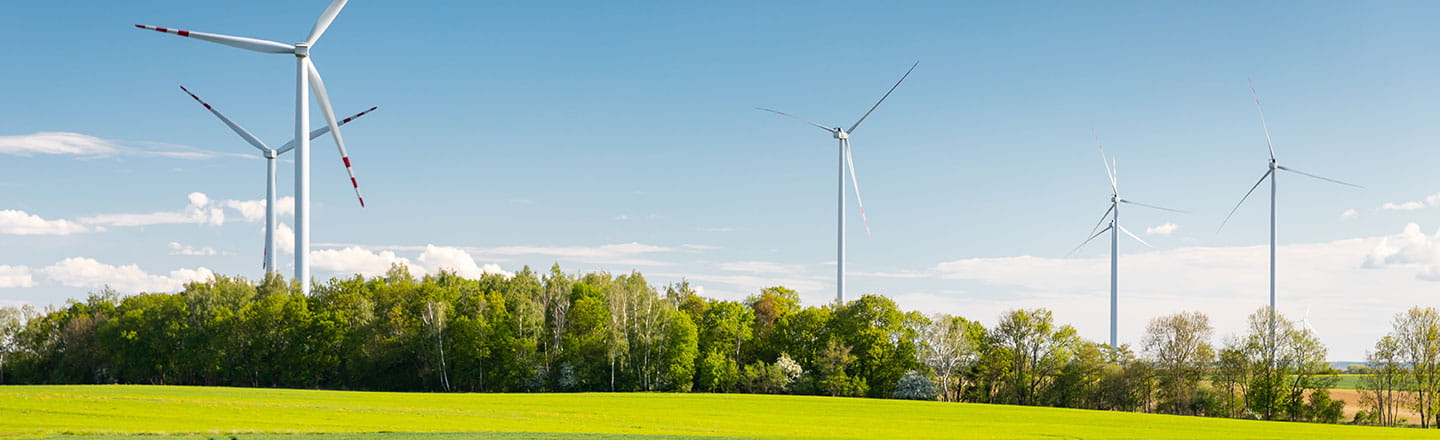 Windmills and green trees