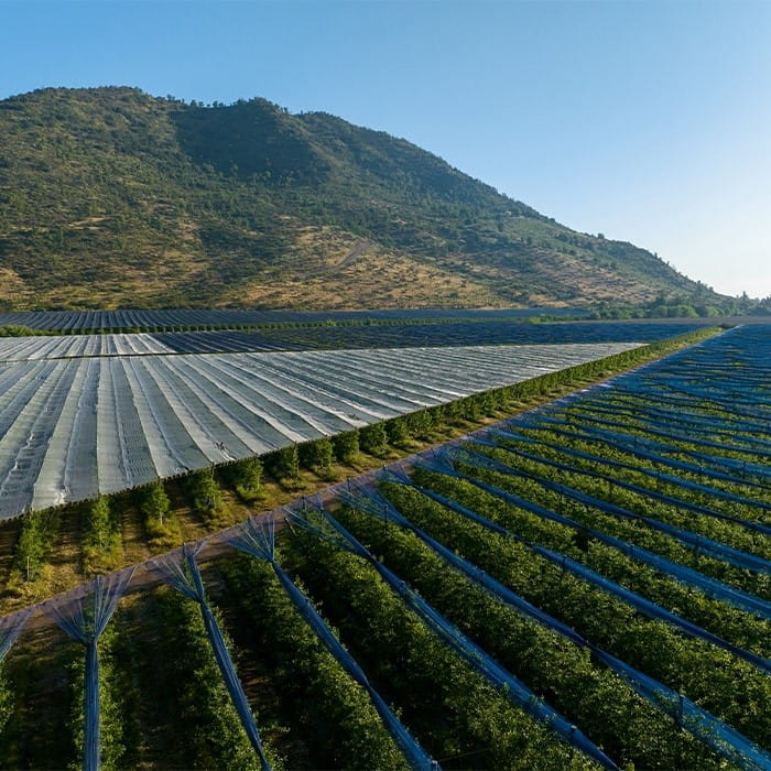 Aerial view of a large agricultural farm