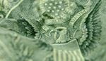 A closeup of the eagle on a dollar bill.