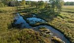 Aerial view of a serene, grassy wetland with a winding stream reflecting the blue sky, surrounded by trees and fields, evoking a peaceful, natural atmosphere.
