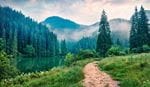 Mountain lake beside a forested trail in misty weather
