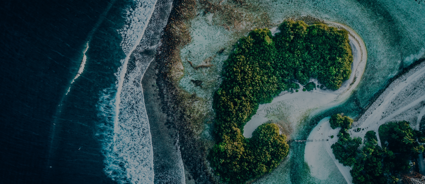Aerial view of the ocean shore