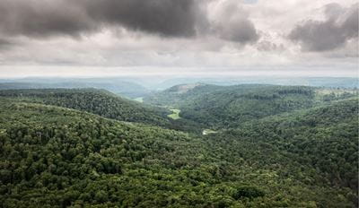 Out-of-focus aerial view of forested hills and a cloudy sky