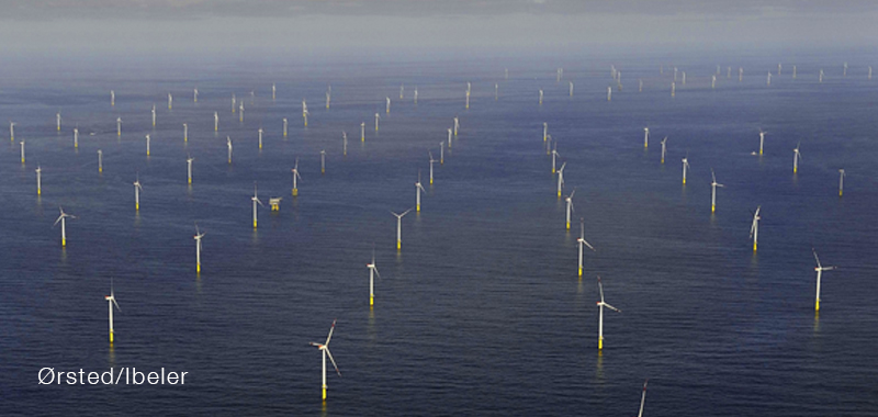 Offshore wind farm