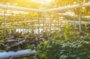 Investment specialists