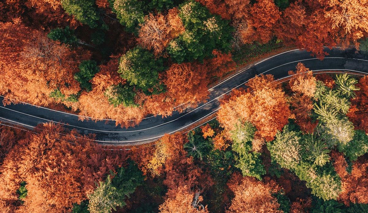 Winding road in the forest in the fall with the truck on the road