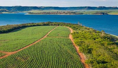 Alternatives _Hero landing