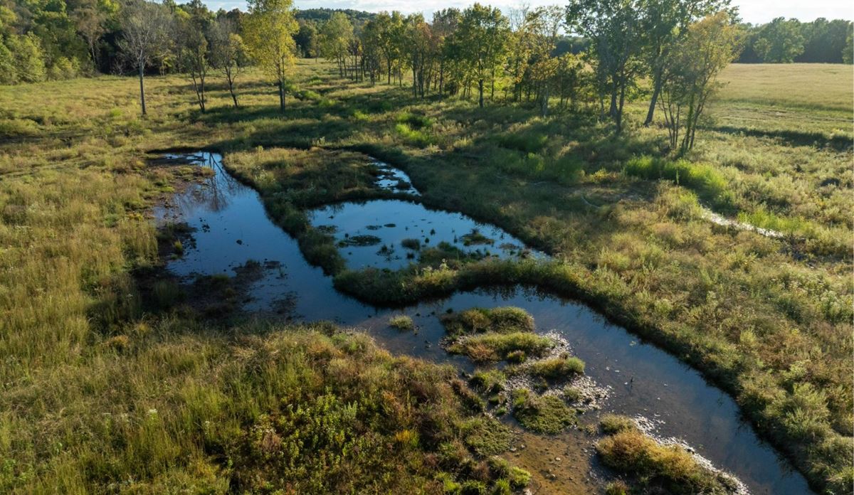 Aerial view of a serene, grassy wetland with a winding stream reflecting the blue sky, surrounded by trees and fields, evoking a peaceful, natural atmosphere.
