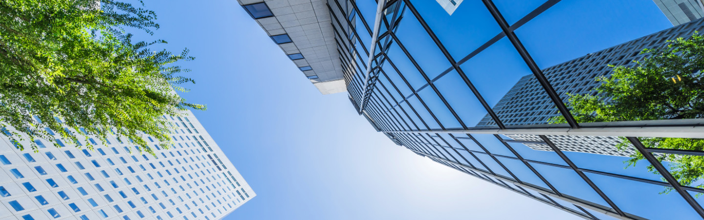 refection of tree in glass building