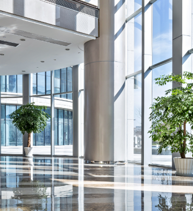 Bright hallway with potted trees